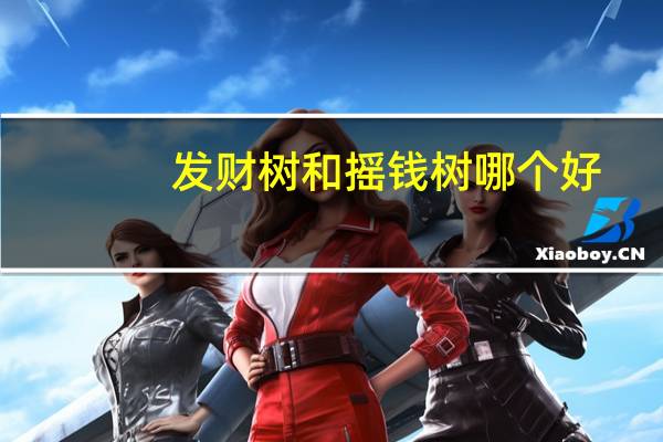 发财树和摇钱树哪个好