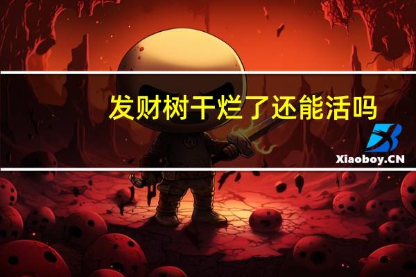发财树干烂了还能活吗