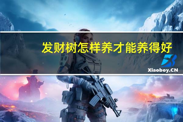 发财树怎样养才能养得好