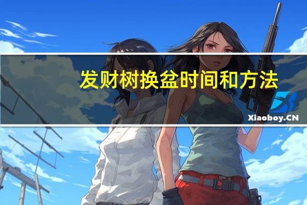 发财树换盆时间和方法