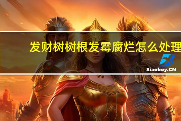 发财树树根发霉腐烂怎么处理