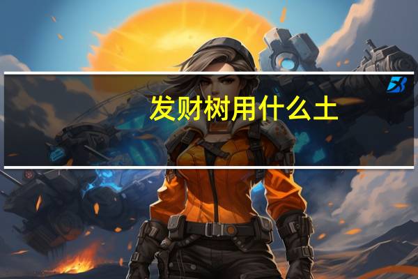 发财树用什么土