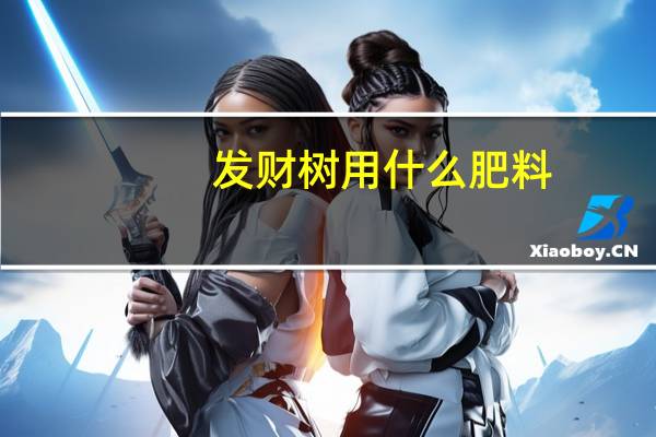 发财树用什么肥料