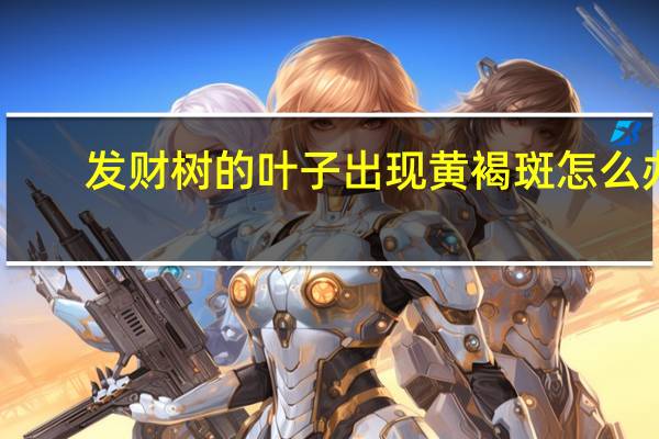 发财树的叶子出现黄褐斑怎么办