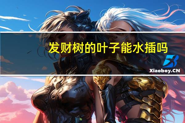 发财树的叶子能水插吗
