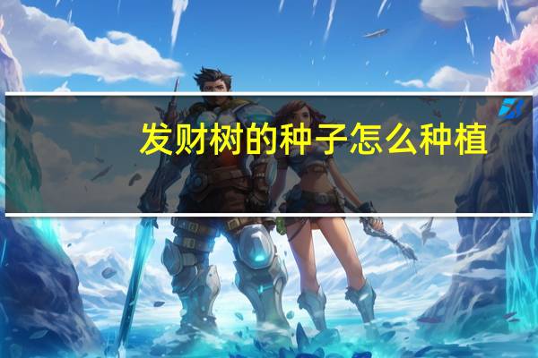 发财树的种子怎么种植