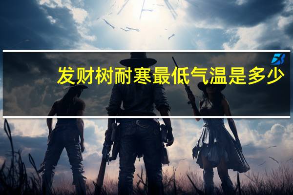 发财树耐寒最低气温是多少