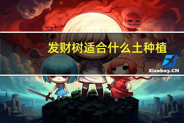 发财树适合什么土种植