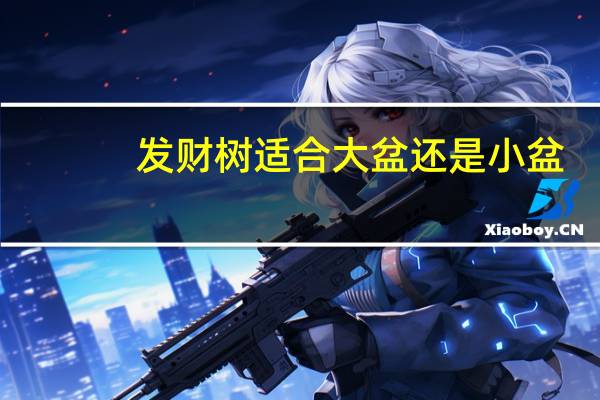 发财树适合大盆还是小盆