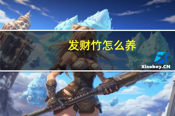 发财竹怎么养?（发财竹）