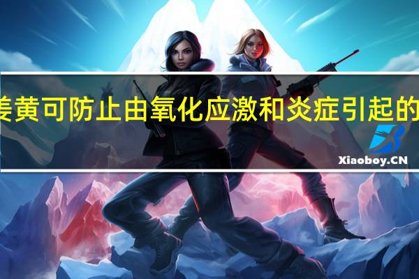 发酵姜黄可防止由氧化应激和炎症引起的记忆力减退