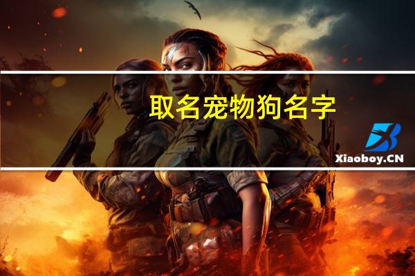 取名宠物狗名字