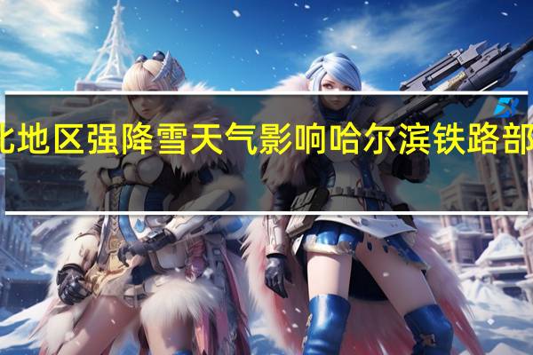 受东北地区强降雪天气影响哈尔滨铁路部分列车停运