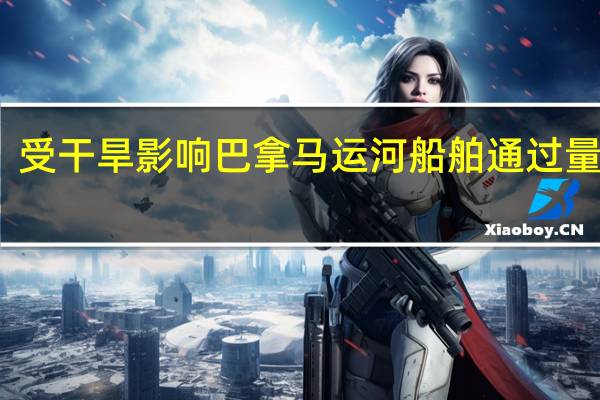 受干旱影响 巴拿马运河船舶通过量减少