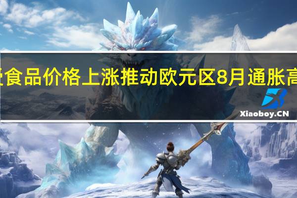 受食品价格上涨推动欧元区8月通胀高于预期