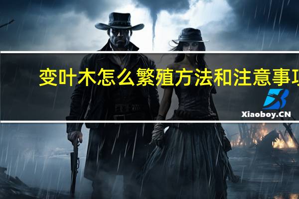 变叶木怎么繁殖方法和注意事项