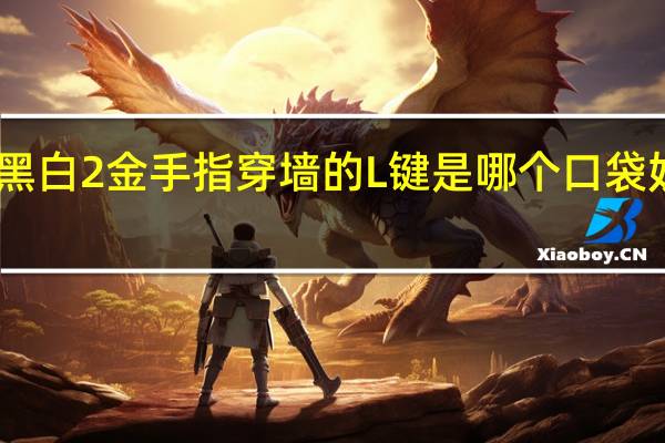 口袋妖怪黑白2金手指穿墙的L键是哪个 口袋妖怪黑白模拟器