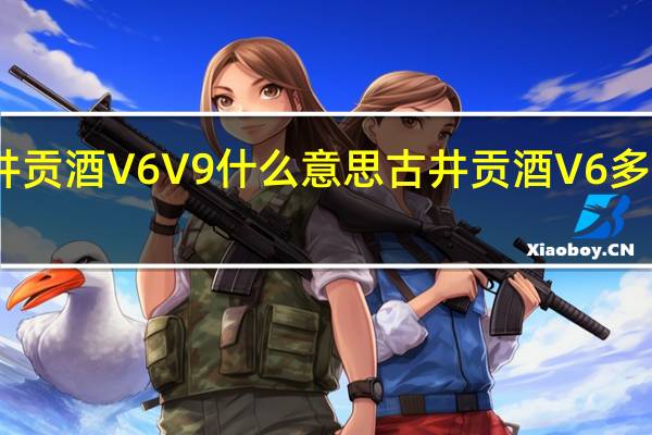 古井贡酒V6V9什么意思 古井贡酒V6多少钱一瓶