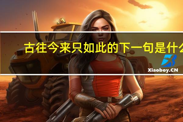 古往今来只如此的下一句是什么