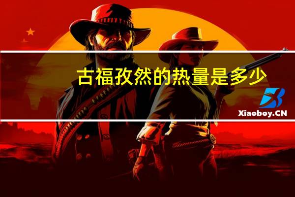 古福 孜然的热量是多少