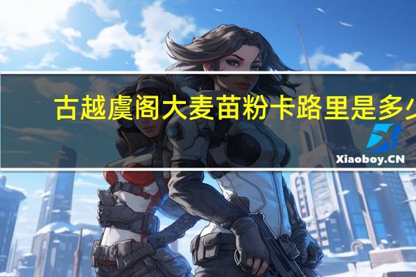 古越虞阁 大麦苗粉卡路里是多少