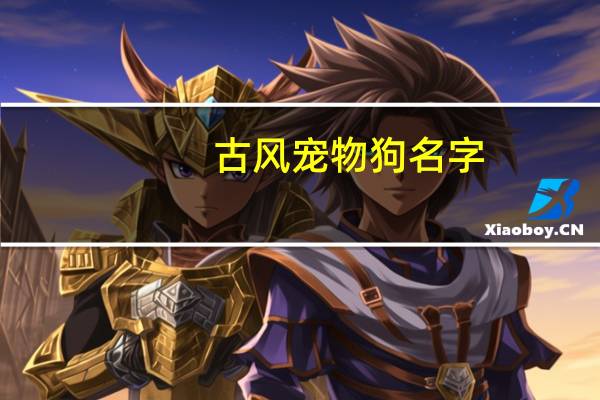 古风宠物狗名字