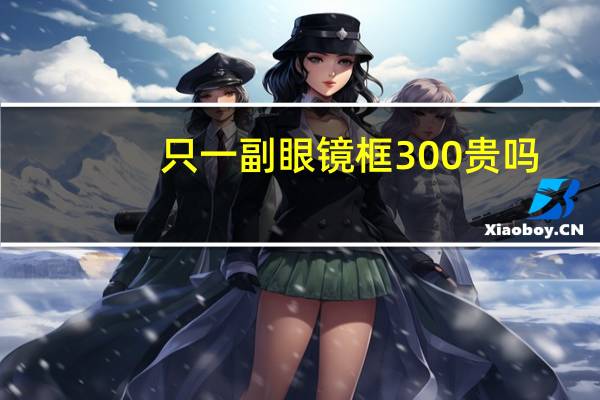 只一副眼镜框300贵吗