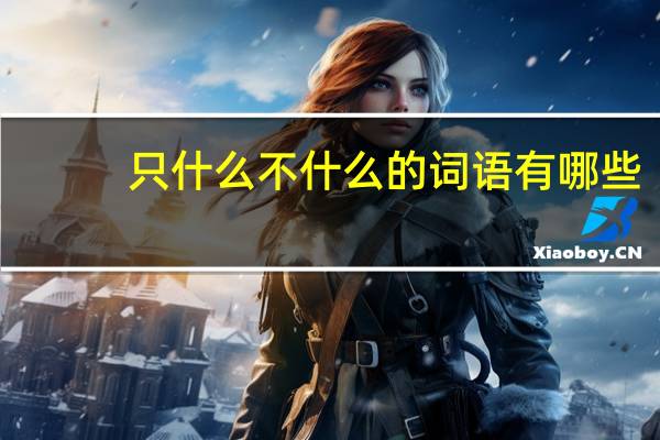 只什么不什么的词语有哪些?