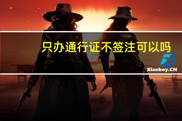 只办通行证不签注可以吗（签注和通行证的区别）