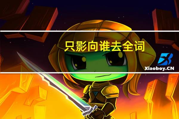 只影向谁去全词