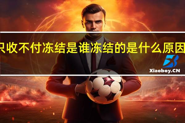 只收不付冻结是谁冻结的 是什么原因导致的
