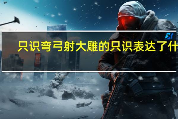 只识弯弓射大雕的只识表达了什么