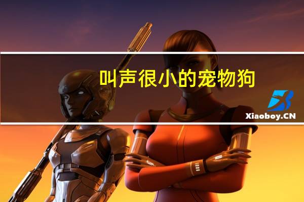 叫声很小的宠物狗