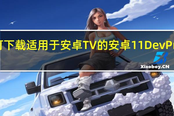 可下载适用于安卓TV的安卓11DevPreview