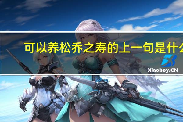 可以养松乔之寿的上一句是什么