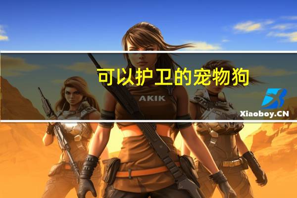可以护卫的宠物狗