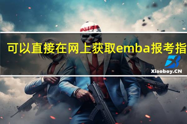 可以直接在网上获取emba报考指南吗