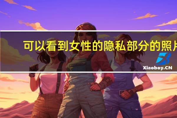 可以看到女性的隐私部分的照片（女性的秘密部分）