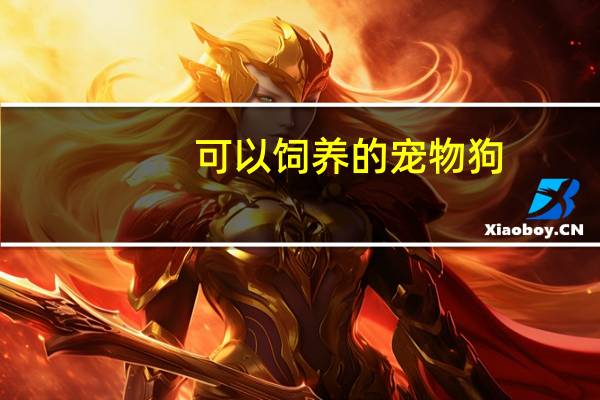 可以饲养的宠物狗