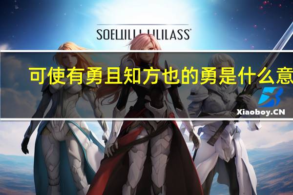 可使有勇且知方也的勇是什么意思