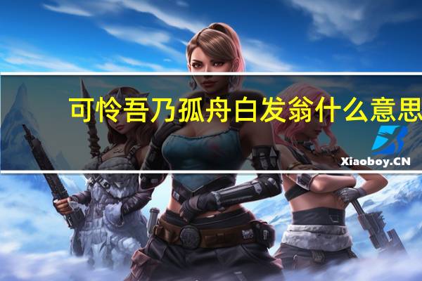 可怜吾乃孤舟白发翁什么意思