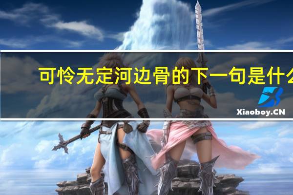 可怜无定河边骨的下一句是什么