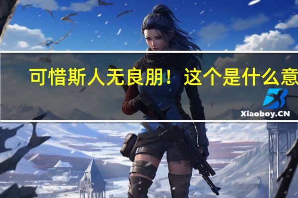 可惜斯人无良朋！这个是什么意思