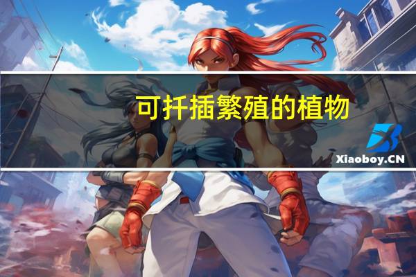 可扦插繁殖的植物