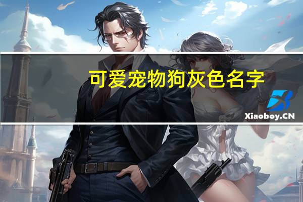 可爱宠物狗灰色名字