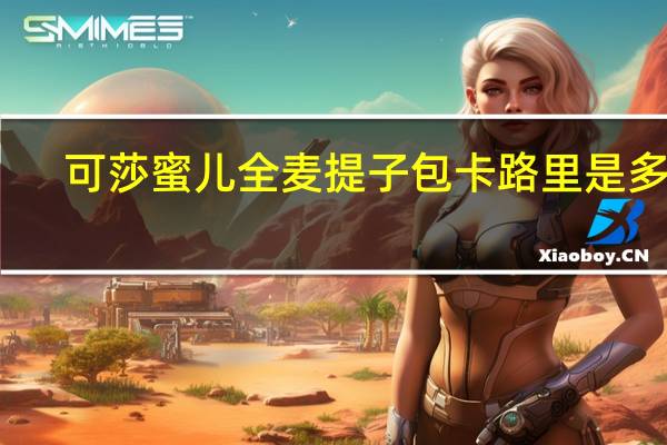 可莎蜜儿 全麦提子包卡路里是多少