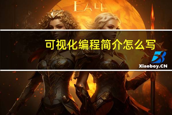 可视化编程简介怎么写（可视化编程简介）