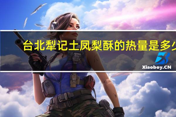 台北犁记 土凤梨酥的热量是多少