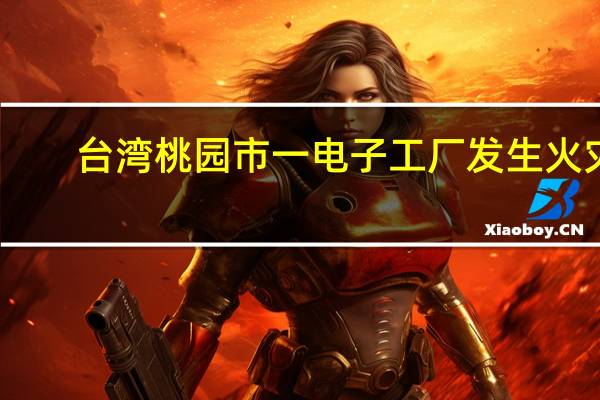 台湾桃园市一电子工厂发生火灾