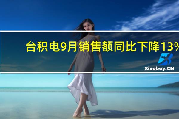 台积电9月销售额同比下降13%